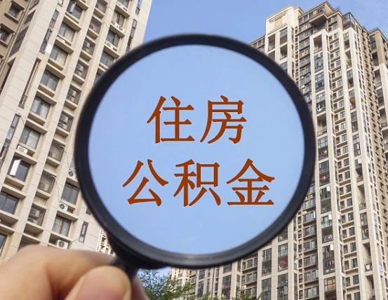 呼伦贝尔退休后查不到公积金明细了吗（退休后公积金查询不到原因）